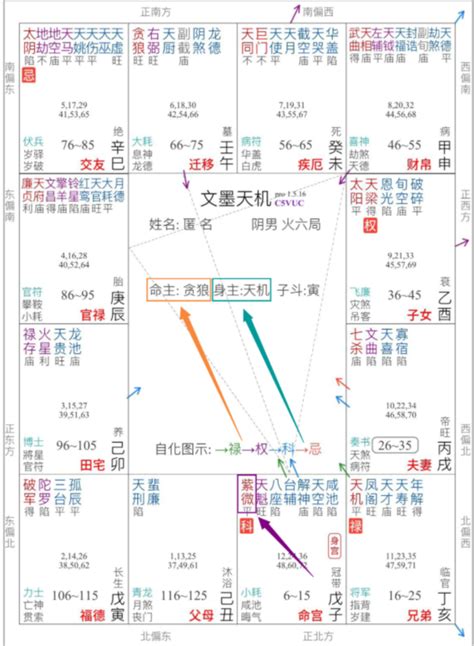 命主|紫微斗数中的命主和身主是什么意思？紫微斗数命主身主详解